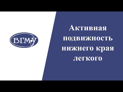 Активная подвижность нижнего края легкого