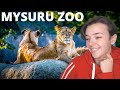 A Day at Mysuru Zoo | REACTION!!!