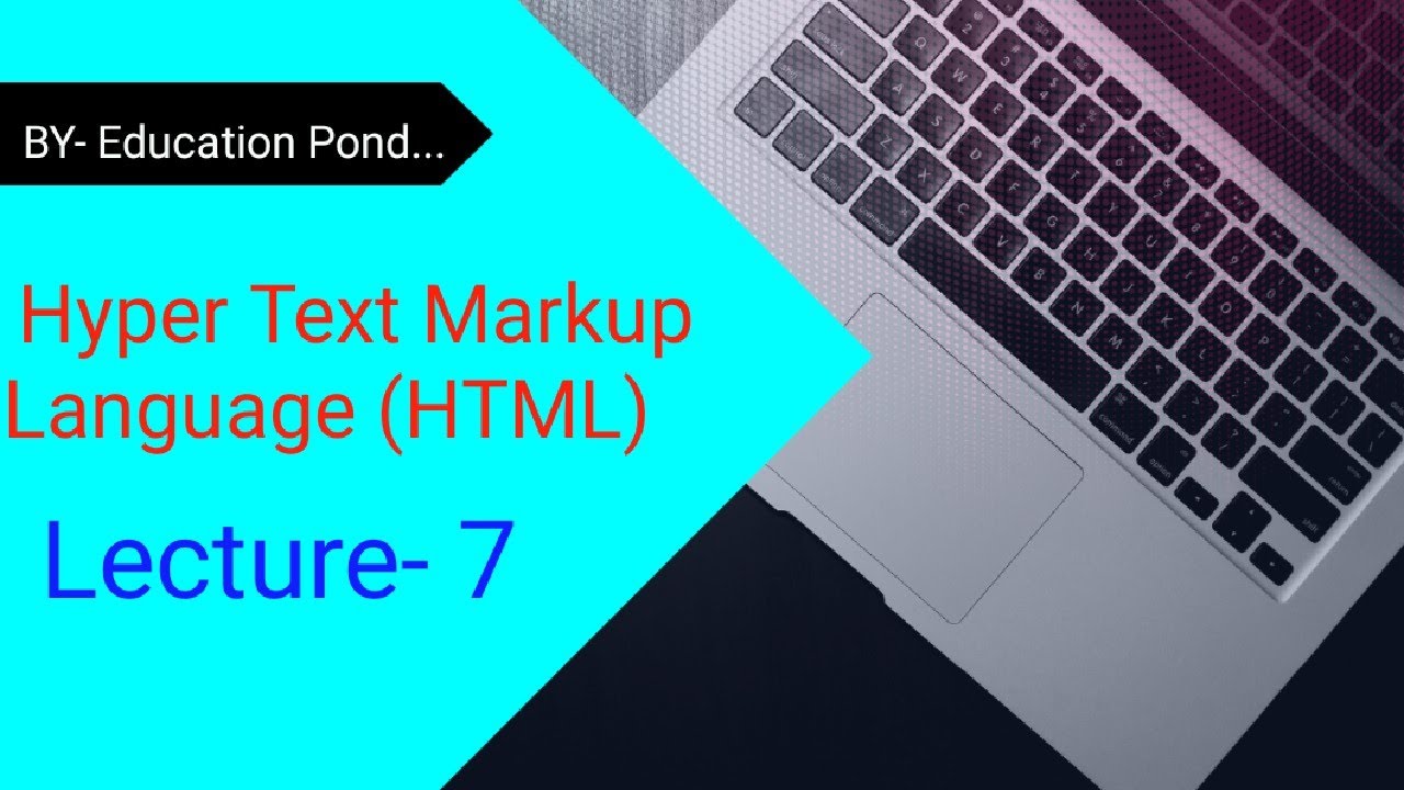 Insert In Computer Language Computer Language||HTML||How to insert a Reaction in a HTML Document or ...