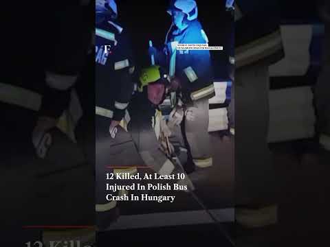 12 Killed, At Least 10 Injured In Polish Bus Crash In Hungary | N18G