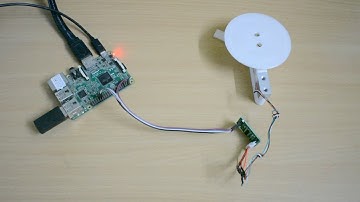 Load Cell & HX711 with Raspberry PI