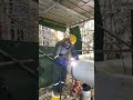 GTAW 20" SCH10 stainless pipe🔥 #welder #stainlesssteel #welding