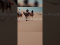 Parshat Devarim Song – “He Makes the Way” | Jewish Inspirational Music Parsha | Am Yisrael Chai