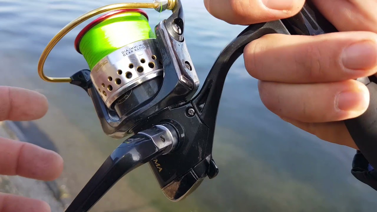 Spinning la stiuca cu surprize, toamna pe raul Olt