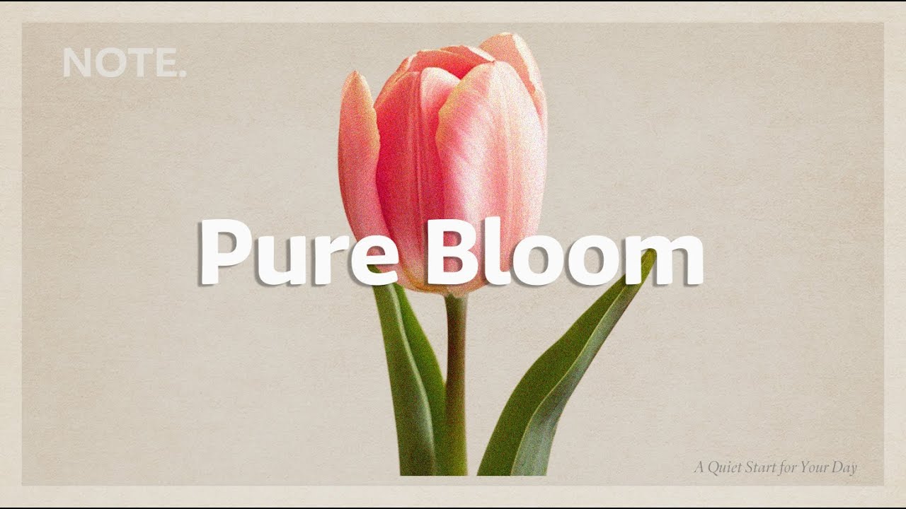 Pure Bloom | Chill House for a Positive Morning Vibe