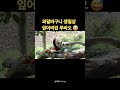 과일바구니 생일상 엎어버린 푸바오 ㅋㅋㅋㅋ 福宝生日 푸바오 생일축하해 🎉