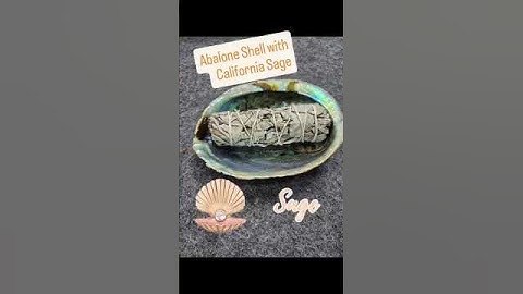 California White sage with Abalone Shell