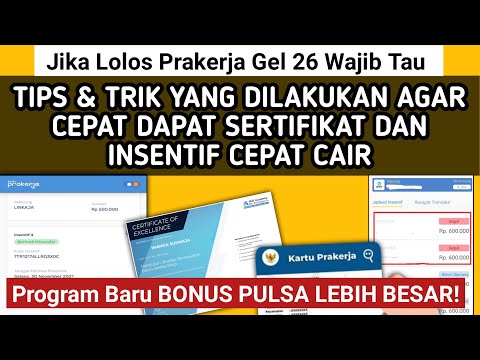 GELOMBANG 26 WAJIB TAU PROGRAM BARU! TIPS DAN TRIK YANG DILAKUKAN AGAR SERTIFIKAT CEPAT MUNCUL