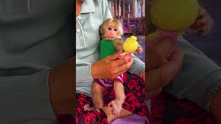 Mom Showing Baby Toy For PorPor
