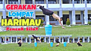 Pencak Silat PSHT Tiger Jump Movement