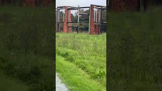 wall type (visit ebay, etsy and web links in description) #blog #europe @Belgblog