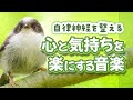 【自律神経を整える】心と気持ちを楽にする音楽【テンダートーン】