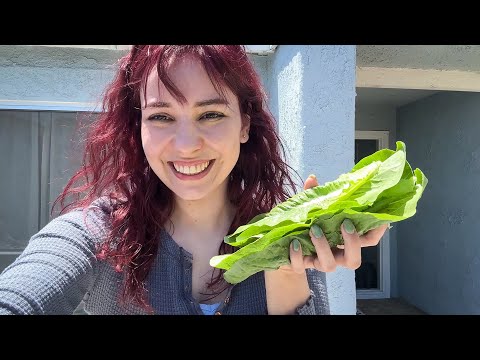 Shoveling dirt, and my first harvest!