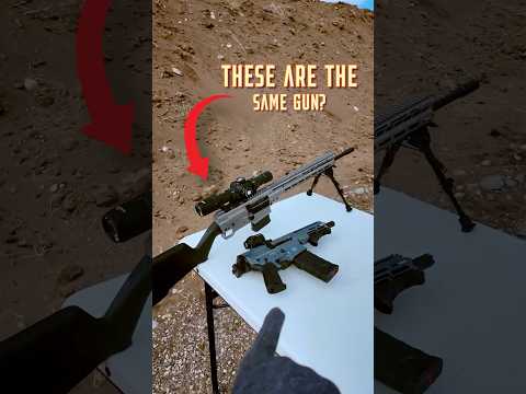 These TWO GUNS Are Actually The SAME? (CMMG Dissent)
