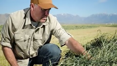 The Basics of Haymaking | John Deere Tips Notebook