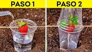 Inteligentes Trucos de Jardinería para Cultivar Fácilmente Tus Propias Plantas by Ideas en 5 Minutos JÓVENES 2,460 views 8 days ago 55 minutes