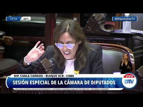 Diputada Carrizo, Carla - Sesión 26-10-2021 - PL