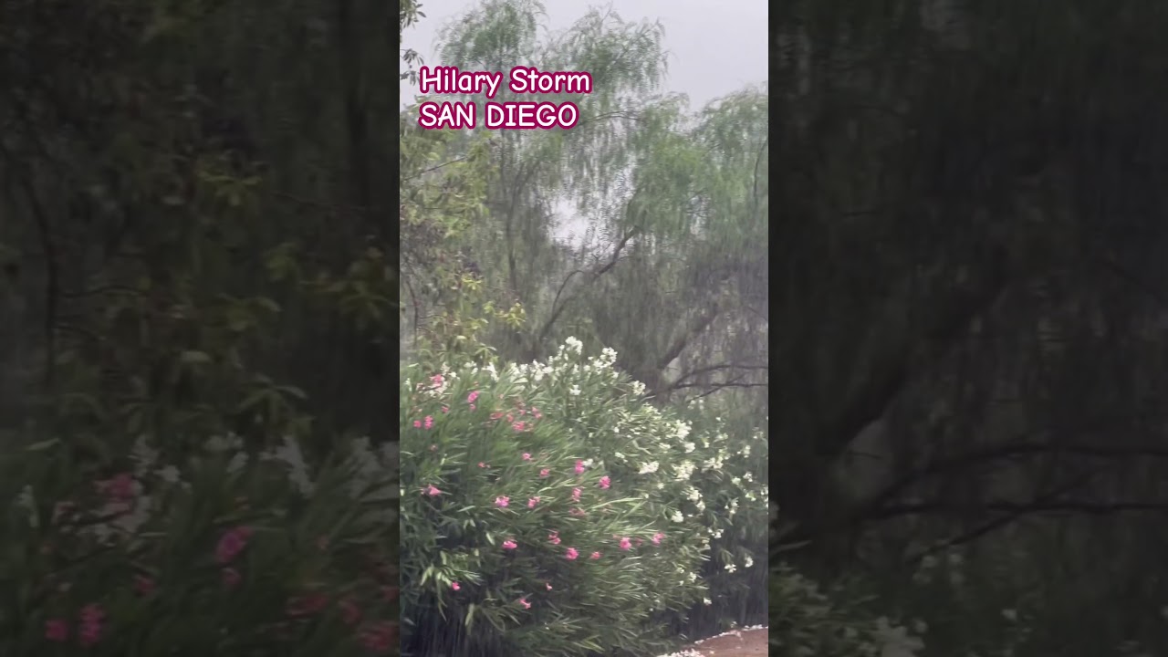 Hilary Storm California San Diego 