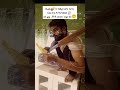 Diwali ki Safayi-Relatable video 🥲📃📚#relatable #students #study_video #studymotivation #trending1