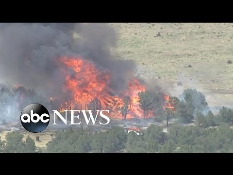 Massive Wildfires Trigger Force Evacuation in California, Colorado, New Mexico 1