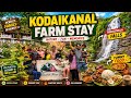 Kodaikanal ல இப்படி ஒரு Farm Stay ahh 🤩| Low Budget Luxury Resort in Kodaikanal | Nanga Romba Busy
