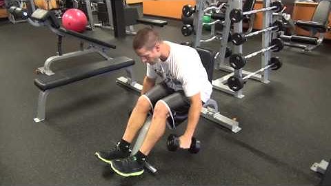 How to Do Seated Bent Over Dumbbell Reverse Fly