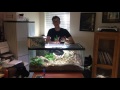 How to setup a California Kingsnake BioActive Terrarium. Self-cleaning, self-maintaining