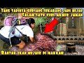 NGERI TANDA TANDA AKHIR JAMAN DI MAKKAH BANYAK IKAN MUJAIR BERMUNCULAN