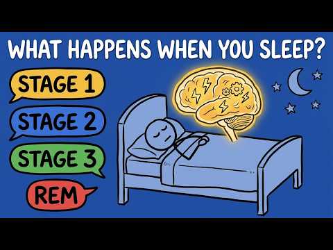 Every Stage of Sleep Explained