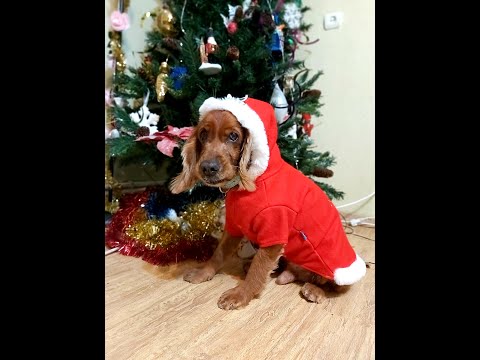 პლანეტების ასპექტების ანალიზი ასტროლოგიაში