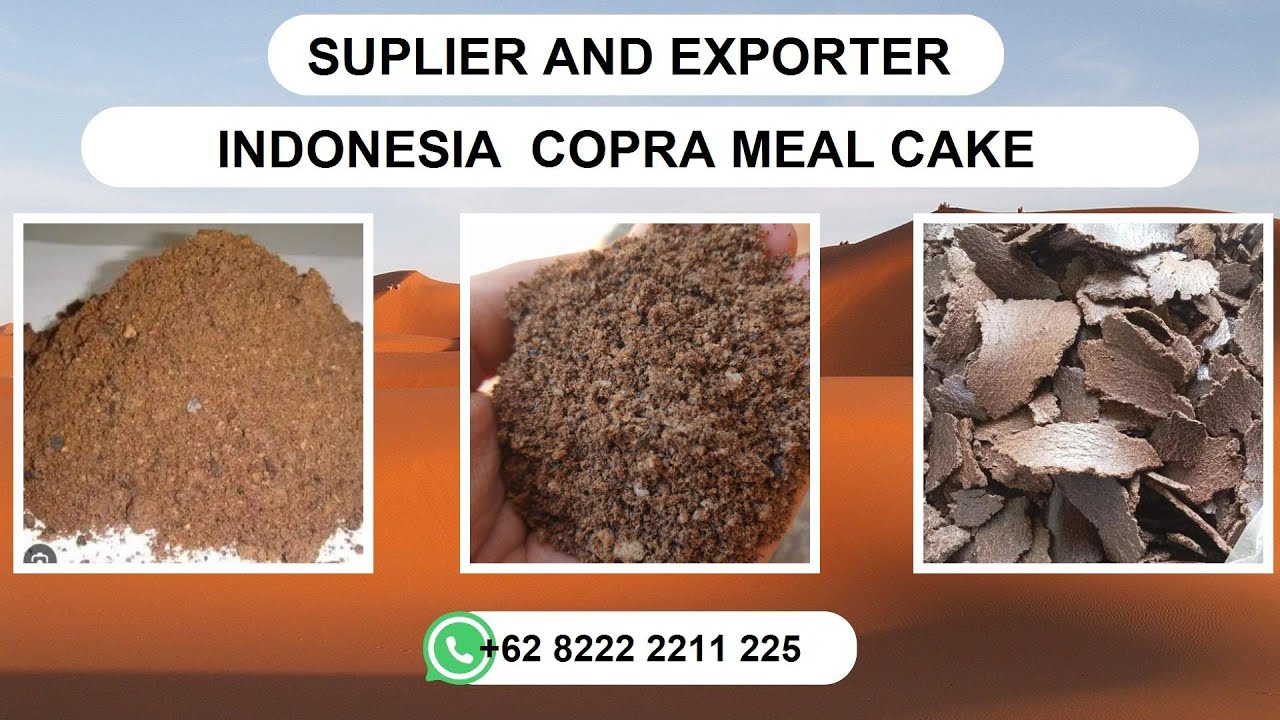 Copra Meal Cost In India Whatsapp 62 8222 2211 225 YouTube copra-meal-cost-in-india-whatsapp-62-8222-2211-225-youtube