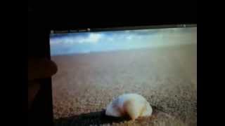 Ubuntu Mod Launcher screenshot 2