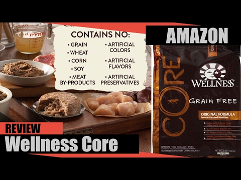 Wellness Core Natural Grain Free Dry Dog Food Review