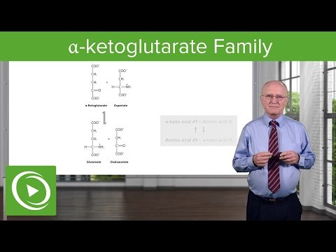 α-ketoglutarate ഫാമിലി & ഗ്ലൂട്ടാമൈൻ സിന്തസിസ് - ബയോകെമിസ്ട്രി | ലെക്ച്യൂരിയോ