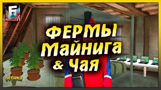 ЗАРАБАТЫВАЮ НА ФЕРМАХ МАЙНИНГА И ЧАЯ! ДОМАШНИЕ ФЕРМЫ НА БАРВИХА РП! Барвиха РП