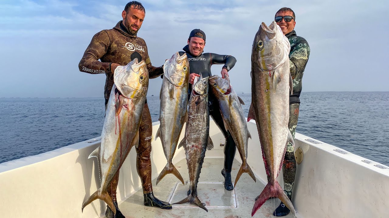 Spearfishing Dubai wrecks for Amberjack & Kingfish 🇦🇪 UAE is EPIC