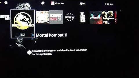 "The Last of Us Part II" | Dynamic Beach Theme | 2020 for PS4 (Limited Edition)