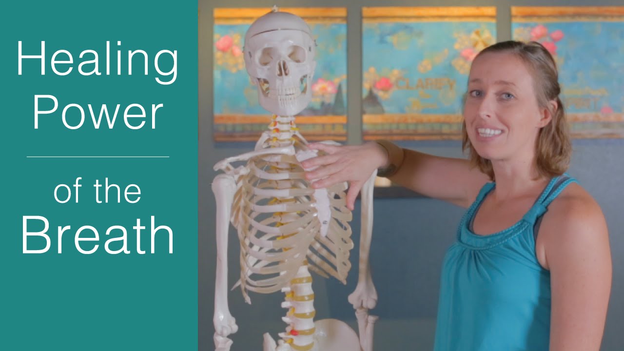 Learn to Breathe Correctly: Why belly breathing is the key to health