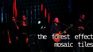 The Forest Effect - Mosaic Tiles - Live at Berklee 2022-11-05 ::: Elliot Page