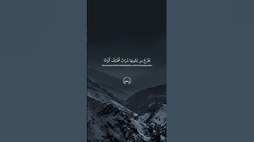 وأوحىٰ ربك إلى النحل.. تلاوة مميزة للقارئ إدريس أبكر