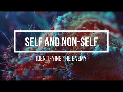 Bio with Ms Nguyen: Self and Non-Self Recognition