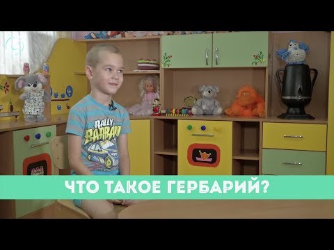 Video: Гербарий өсүмдүктөрү деген эмне?