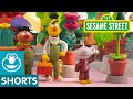 Sesame Street: Flower Shop | Bert and Ernie's Great Adventures