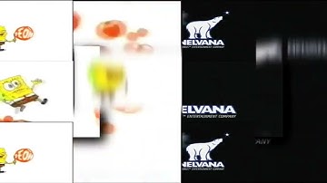 (REUPLOADED) 14 Shuric Scans With Are Slides V31