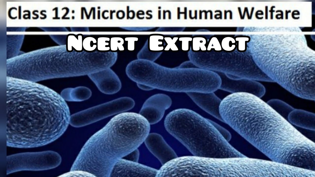 Microbes in Human Welfare | Ncert line 2 line | Chapter 10 | Class 12 ...