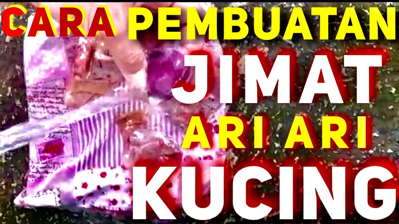 CARA MEMBUAT JIMAT ARI ARI KUCING  Untuk Pengobatan 