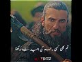 turgut Alp ☠️👑 #unfrezzmyaccount #jiskeaanesemukammalhogayithizindagisong #pakistanidrama
