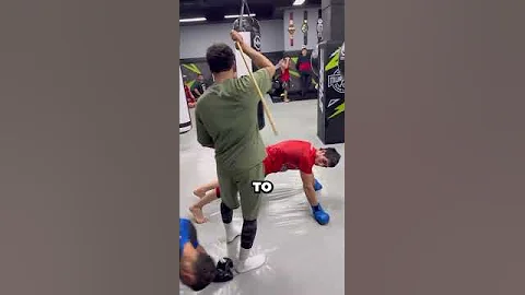 They're Hit With A Stick As Punishment 😏 (@jasco_coach)