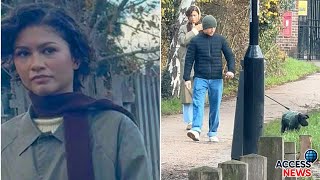 Zendaya & Tom Holland Spotted On Rare Cozy Walk