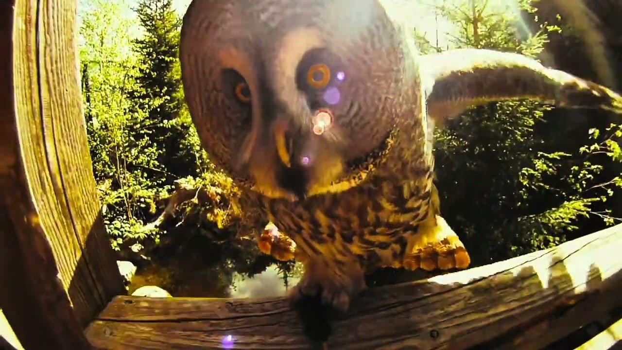 Pregame words from your Pirate Radio Game Day Host Clip Brock for ECU Football at Temple